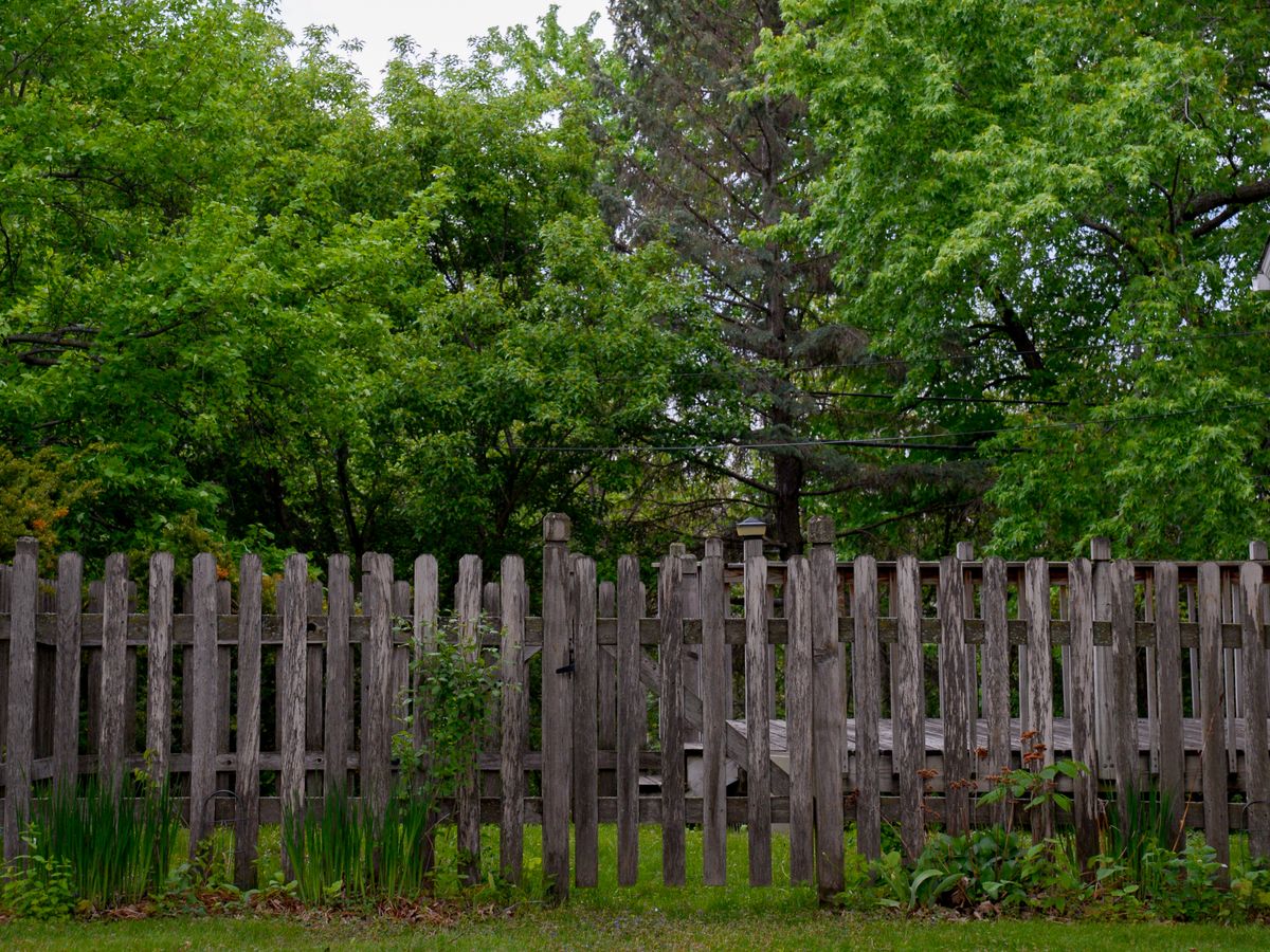Finished wood fence and backyard deck
